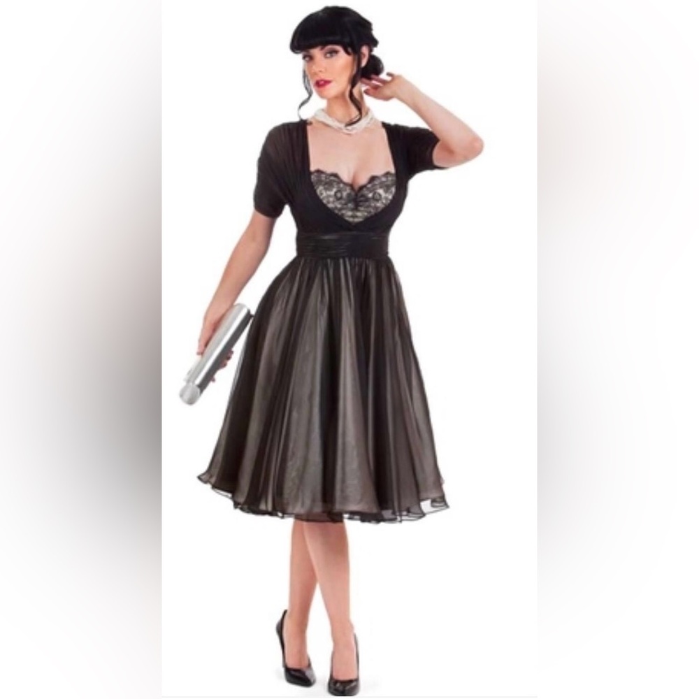 Blue Velvet Vintage Black Chiffon over Champagne Satin Full Skirt Party Dress.